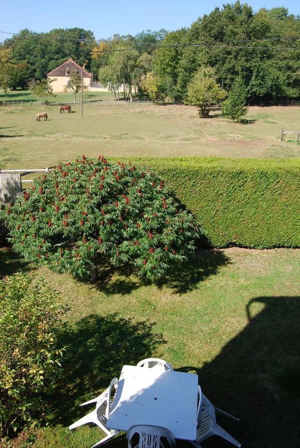 Gite Les Glycines Diges Extérieur photo